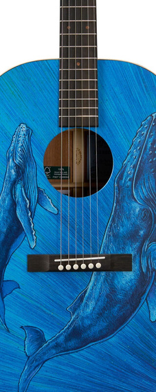 Martin DSS Biosphere II – gitara akustyczna