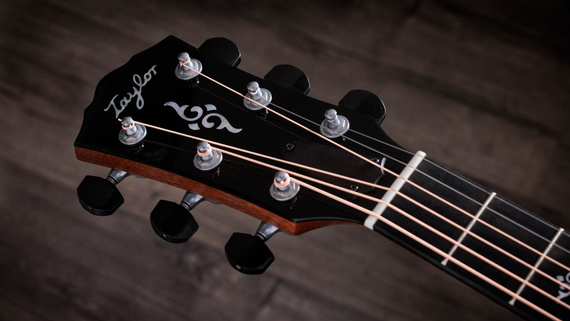 Taylor 814e Gold Label – gitara elektroakustyczna