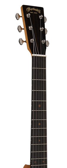 Martin DSS Biosphere II – gitara akustyczna