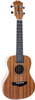Arrow MH10 Mahogany – ukulele koncertowe z pokrowcem