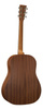 Martin DSS Biosphere II – gitara akustyczna