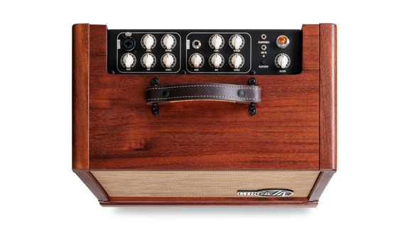 Taylor CIRCA 74 AV150-10 – wzmacniacz akustyczny ze statywem