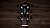 Taylor 814e Gold Label – gitara elektroakustyczna