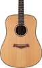 Arrow Platinum Elite D Sitka/Rosewood – gitara akustyczna dreadnought