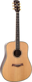 Arrow Platinum Elite D Sitka/Rosewood – gitara akustyczna dreadnought